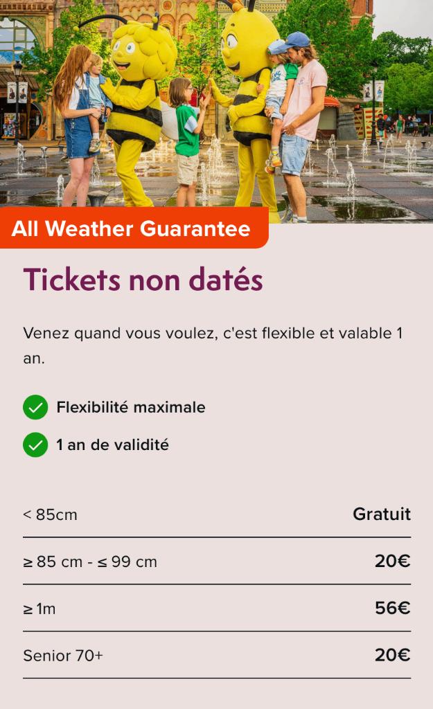 1 + 1 gratis ticket voor PLOPSALAND en andere PLOPS-parken, Tickets en Kaartjes, Eén persoon, Ticket of Toegangskaart