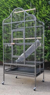 CAGE À PERROQUETS, Enlèvement