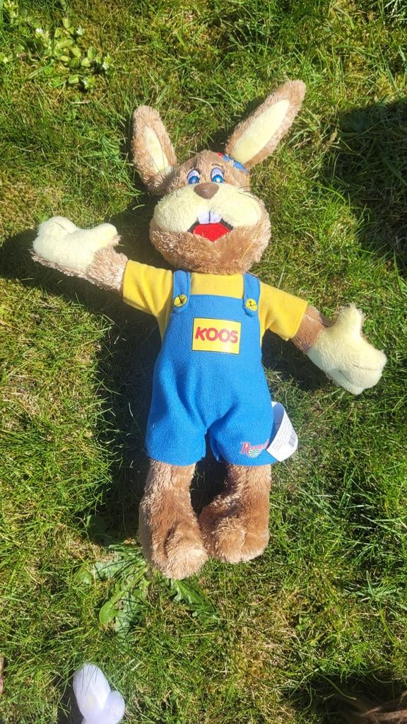 Koos konijn been roompot, Ophalen, Konijn