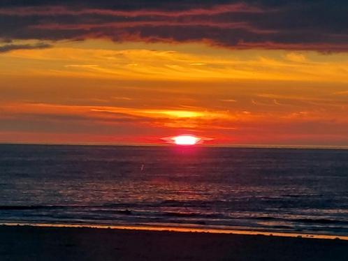 Rustig vakantieappartement westende-bad Distellaan gelijkvlo, Vakantie, Vakantiehuizen | België, Appartement, Aan zee, 1 slaapkamer