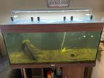Aquarium met toebehoren, Dieren en Toebehoren, Ophalen, Zo goed als nieuw