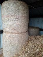 3 midi balen Hooi, Dieren en Toebehoren