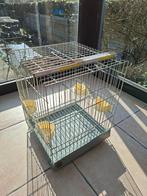 Vogelkooi, Ophalen, Gebruikt, Metaal, Vogelkooi
