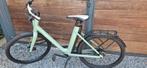 Cowboy 4st cruiser, Ophalen, Gebruikt, Cowboy