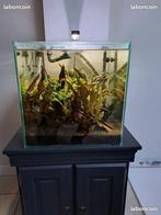 aquarium complet, Enlèvement, Comme neuf, Aquarium d'eau douce rempli