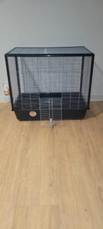 Kooi voor knaagdieren, Dieren en Toebehoren, Ophalen