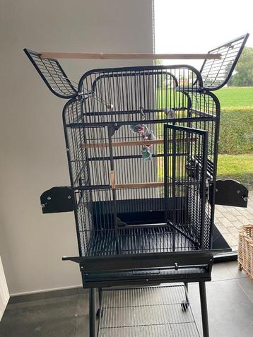 Parkieten/papegaai kooi, Enlèvement, Comme neuf, Métal, Cage à oiseaux