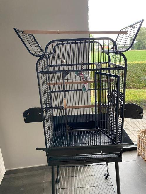 Parkieten/papegaai kooi, Dieren en Toebehoren, Vogels | Hokken en Kooien, Zo goed als nieuw, Vogelkooi, Metaal, Ophalen