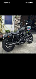 Harley iron 883, Motos, Motos | Harley-Davidson, Particulier