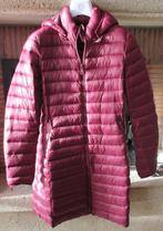 winter jas maat S, Kleding | Dames, Jassen | Winter, Zo goed als nieuw, Maat 36 (S), Rood, Ophalen