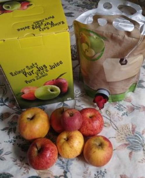Jus de pommes 2023, Tuin en Terras, Planten | Fruitbomen, Ophalen