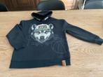 Trui maat 146-152, Kinderen en Baby's, Kinderkleding | Maat 146, Ophalen of Verzenden, Gebruikt, Jongen, Trui of Vest