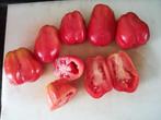 Tomate en sachet rouge rose Santa Ana - 5 graines, Jardin & Terrasse, Bulbes & Semences, Graine, Printemps, Envoi