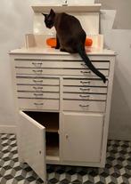 Tandartskabinet, Antiek en Kunst, Curiosa en Brocante, Ophalen