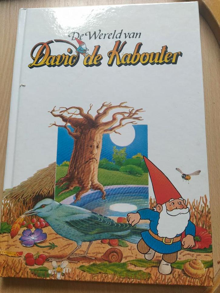 boek: David de Kabouter + Kabouter Korsakov, Boeken, Kinderboeken | Jeugd | onder 10 jaar, Gelezen, Fictie algemeen, Ophalen of Verzenden
