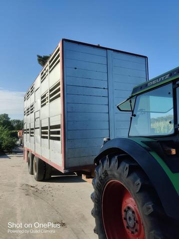 Berdex veewagen  beschikbaar voor biedingen