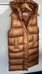 Body warmer  small, Ophalen, Zo goed als nieuw