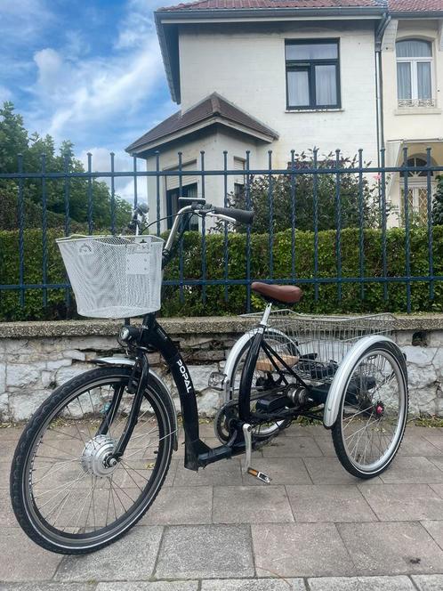 Tricycle à assistance électrique POPAL bon état, Vélos & Vélomoteurs, Vélos | Tricycles pour enfants, Comme neuf