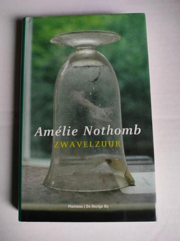 Zwavelzuur ( Amélie Nothomb ), Boeken, Ophalen of Verzenden, Zo goed als nieuw, Amélie Nothomb, Europa overig