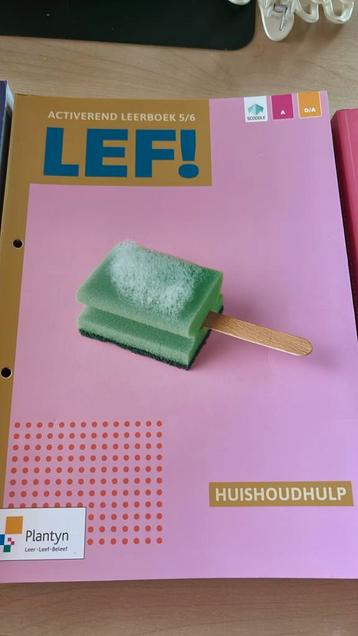 LEF! Huishoudhulp, werkveldgids, kinderbegeleiding beschikbaar voor biedingen