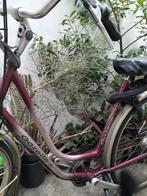 Gazelle Impala opknapfiets, Ophalen, Zo goed als nieuw, Gazelle, Versnellingen