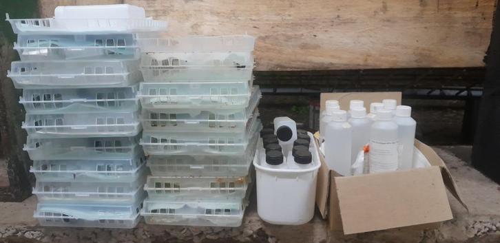 Diffuseur Nassenheider (apiculture), Dieren en Toebehoren, Insecten en Spinnen, Bijen