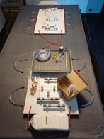 Mierenkolonies ; 9x Lasius Niger koningin +30-50 werksters, Animaux & Accessoires, Insectes & Araignées, Fourmis