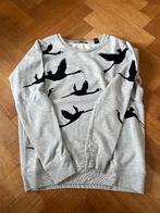 Sweat-shirt femme S Scotch and Soda, Enlèvement, Porté, Taille 36 (S), Gris