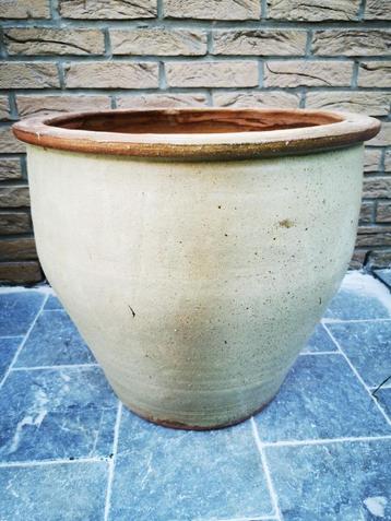 magnifique pot de 42 haut sur 46 diamètre beschikbaar voor biedingen