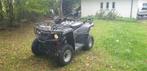 QUAD MASAI A300, Motoren, 300 cc, 11 kW of minder, 1 cilinder