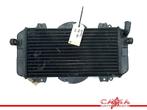 RADIATEUR Yamaha FZR 600 1989-1993 (FZR600 3HE), Motoren, Gebruikt