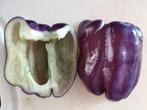 5 zaden paarse paprika, Tuin en Terras, Bloembollen en Zaden, Verzenden, Voorjaar, Volle zon, Zaad