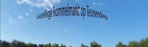 Binnen en buiten rommelmarkt Olen 9 en 10 augustus, Cd's en Dvd's, Cd's | Schlagers, Gebruikt, Ophalen