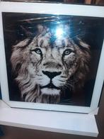 Zwarte metalen fotokader met witte rand, Enlèvement