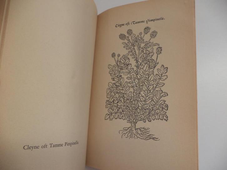 1943 UIT HET CRUYDT-BOECK VAN DODONAEUS Dodoens H. Guembel, Boeken, Wetenschap, Ophalen of Verzenden
