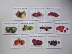 Fruit - Des fruits, Postzegels en Munten, Postzegels | Europa | België, Ophalen of Verzenden, Frankeerzegel, Postfris