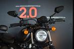 Hyosung Bobber 300 avec sissy bar, sacoches latérales seulem, Motos, Motos | Marques Autre, 12 à 35 kW, 2 cylindres, 300 cm³, Hyosung
