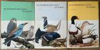 Artisboeken - lot Dieren, Boeken, Ophalen, Zo goed als nieuw, Artis historia, Prentenboek