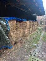 Weidehooi te koop, Dieren en Toebehoren, Ophalen