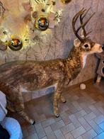 Biche taille reel goodwill neuf decor de noel, Ophalen, Zo goed als nieuw