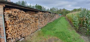 Natuurlijk gedroogd brandhout vanaf 70€/m3 beschikbaar voor biedingen