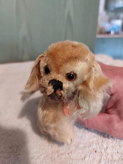 oud steiff hondje, jaren 1950, Antiek en Kunst, Curiosa en Brocante, Ophalen of Verzenden
