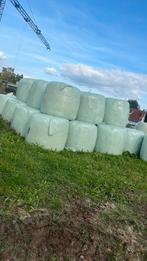 Ronde balen voordroog, Dieren en Toebehoren, Ophalen