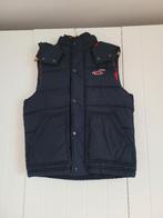bodywarmer Jas Hollister, Enlèvement ou Envoi, Comme neuf, Taille 52/54 (L), Bleu
