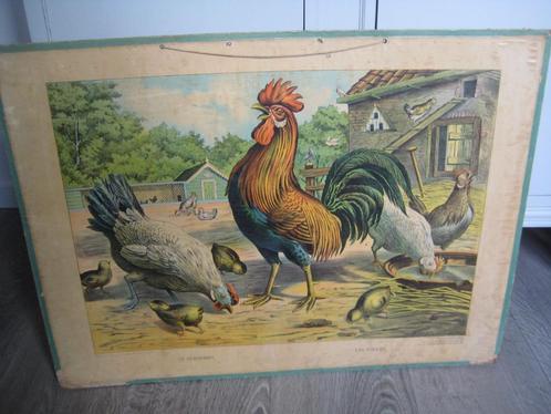 ANTIEKE SCHOOLPLAAT, Antiek en Kunst, Antiek | Schoolplaten, Ophalen of Verzenden