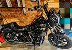 Lowerider s clubstyle, Motoren, 117 cc, 2 cilinders, Chopper, Particulier