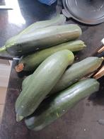 courgettes dringende verkoop, Ophalen of Verzenden