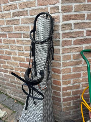 Hoofdstel te koop beschikbaar voor biedingen