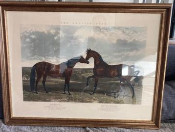 Schilderij hengsten beschikbaar voor biedingen