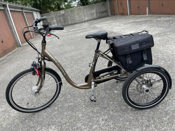 Elektrische fiets 3 wieler beschikbaar voor biedingen